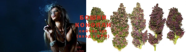 молекула духа Дмитровск