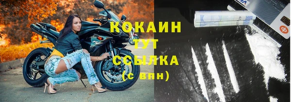 тгк Дмитров