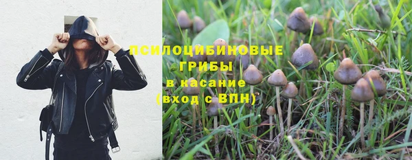 герыч Дмитриев