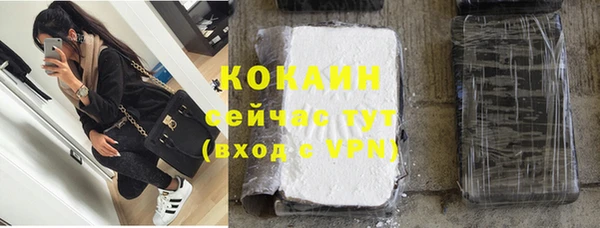 молекула духа Дмитровск
